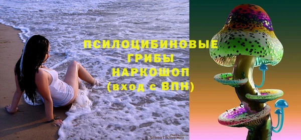 шишки Баксан