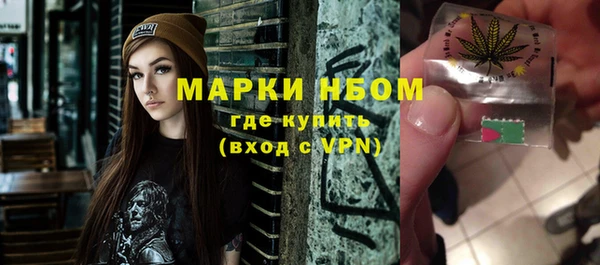 шишки Баксан