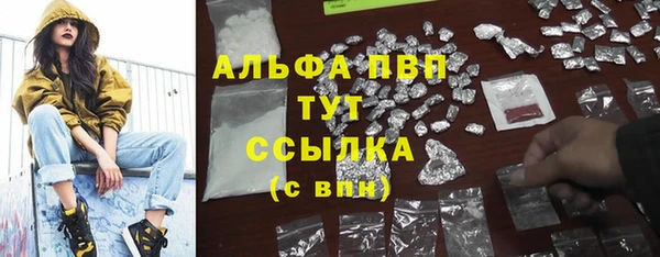 шишки Баксан