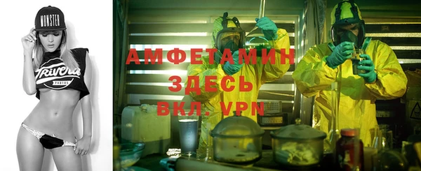 шишки Баксан